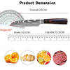 Professional Chef Knife Japanese