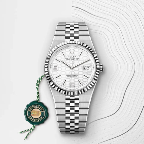 Land-Dweller 40 – 40 mm Rolesor Gris en Acier Oystersteel et Or Gris