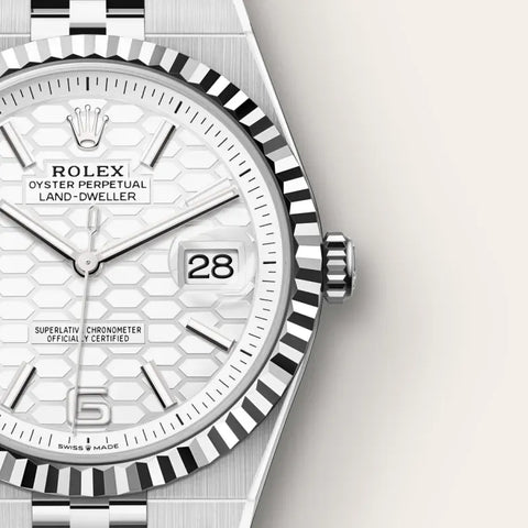 Land-Dweller 40 – 40 mm Rolesor Gris en Acier Oystersteel et Or Gris