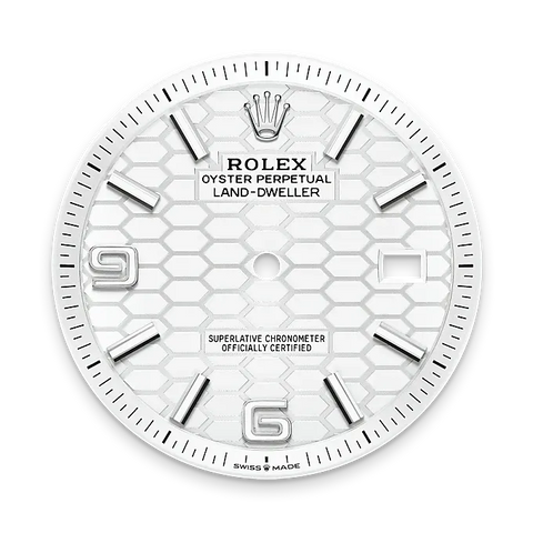 Land-Dweller 40 – 40 mm Rolesor Gris en Acier Oystersteel et Or Gris